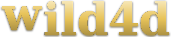 wild4d logo